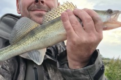 Snoekbaars